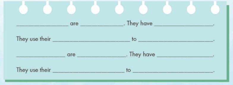 Tiếng anh lớp 4 Unit 1 Science trang 15 iLearn Smart Start 11 1