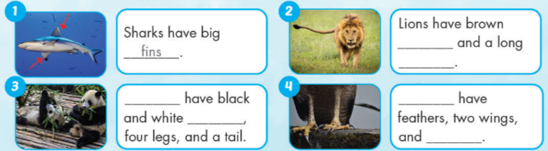 Tiếng anh lớp 4 Unit 1 Science trang 15 iLearn Smart Start 3 1