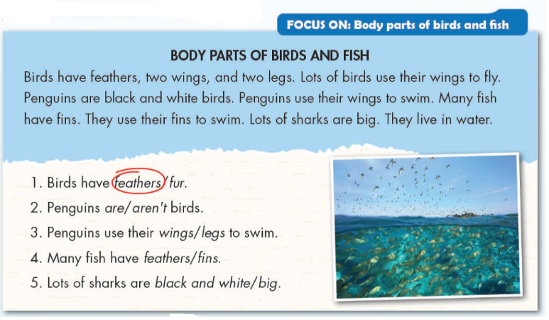 Tiếng anh lớp 4 Unit 1 Science trang 15 iLearn Smart Start 4 1