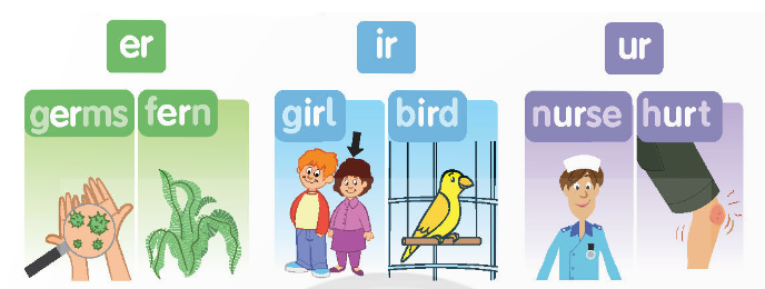 Tiếng Anh lớp 4 Unit 11 lesson four trang 85 Family and Friends 0 1