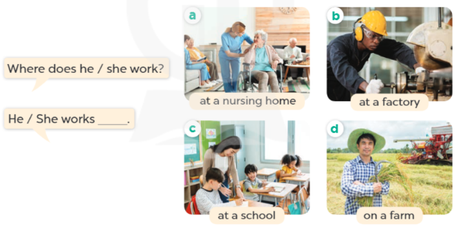 Tiếng Anh lớp 4 Unit 12 lesson 2 trang 14 Global Success 1 1