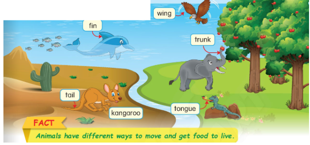 Tiếng Anh lớp 4 Unit 13 Learn more trang 121 Phonics Smart 0 1