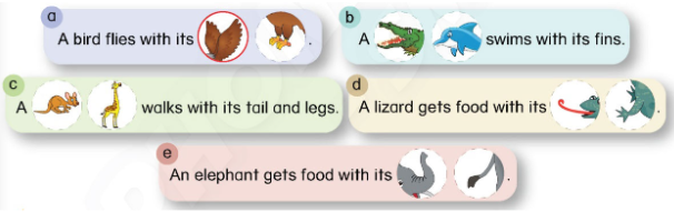 Tiếng Anh lớp 4 Unit 13 Learn more trang 121 Phonics Smart 1 1