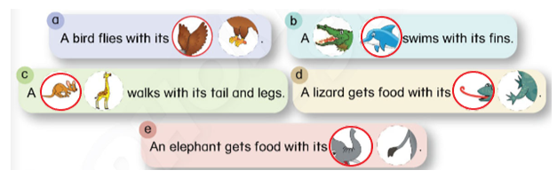 Tiếng Anh lớp 4 Unit 13 Learn more trang 121 Phonics Smart 1 2
