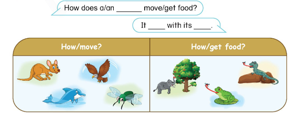 Tiếng Anh lớp 4 Unit 13 Learn more trang 121 Phonics Smart 2 1