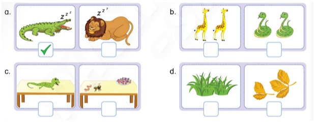 Tiếng Anh lớp 4 Unit 13 lesson 1 trang 114, 115 Phonics Smart 1 1