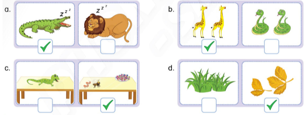 Tiếng Anh lớp 4 Unit 13 lesson 1 trang 114, 115 Phonics Smart 1 2