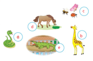 Tiếng Anh lớp 4 Unit 13 lesson 1 trang 114, 115 Phonics Smart 2 2