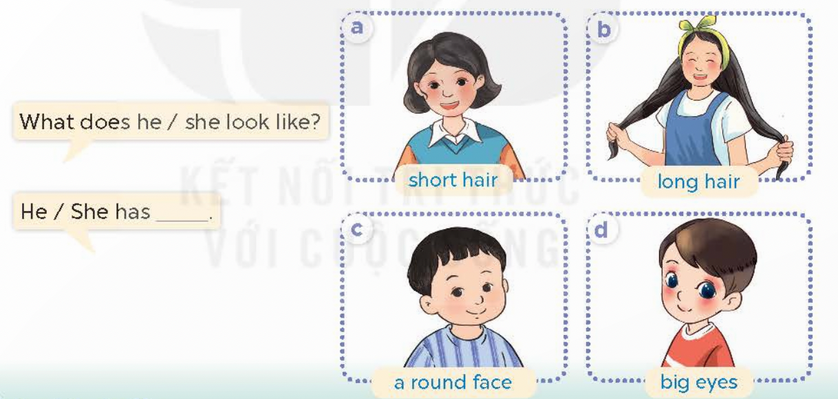 Tiếng Anh lớp 4 Unit 13 lesson 2 trang 20 Global Success 1 1