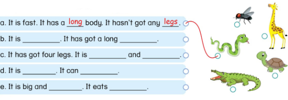 Tiếng Anh lớp 4 Unit 13 lesson 3 trang 118, 119 Phonics Smart 2 1