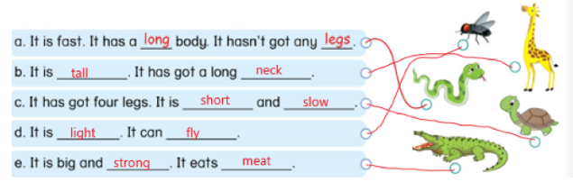 Tiếng Anh lớp 4 Unit 13 lesson 3 trang 118, 119 Phonics Smart 2 2