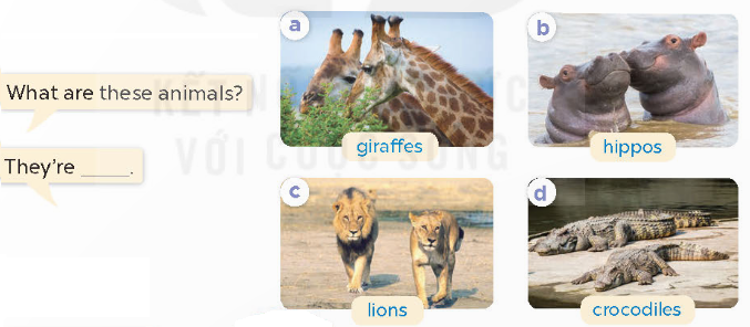 Tiếng Anh lớp 4 Unit 19 lesson 1 trang 58 Global Success 1 1