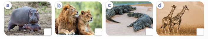 Tiếng Anh lớp 4 Unit 19 lesson 1 trang 58 Global Success 3 1