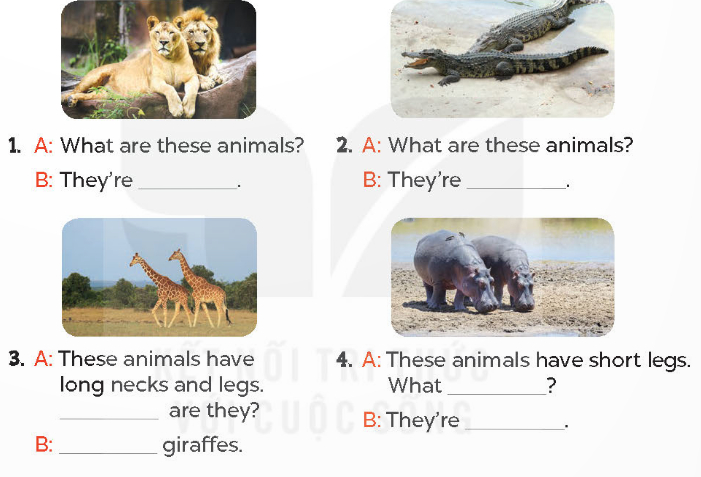 Tiếng Anh lớp 4 Unit 19 lesson 1 trang 58 Global Success 4 1