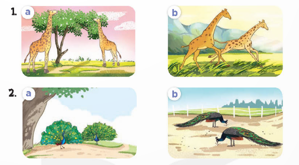 Tiếng Anh lớp 4 Unit 19 lesson 2 trang 60 Global Success 3 1