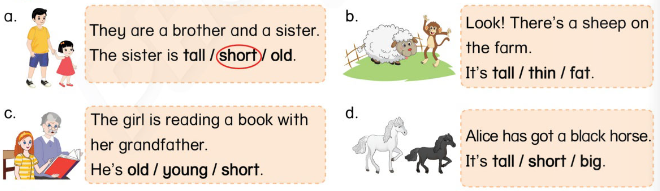 Tiếng Anh lớp 4 Unit 3 lesson 1 trang 24, 25 Phonics Smart 1 1