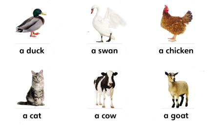 Tiếng Anh lớp 4 Unit 5 lesson 1 trang 80 Explore Our World 1 1