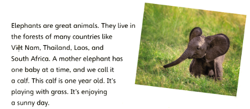 Tiếng Anh lớp 4 Unit 5 lesson 11 trang 90 Explore Our World 0 1