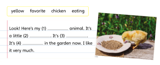 Tiếng Anh lớp 4 Unit 5 lesson 12 trang 91 Explore Our World 0 1