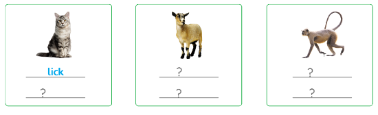 Tiếng Anh lớp 4 Unit 5 lesson 2 trang 81 Explore Our World 2 1