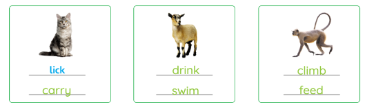 Tiếng Anh lớp 4 Unit 5 lesson 2 trang 81 Explore Our World 2 2