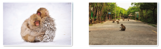 Tiếng Anh lớp 4 Unit 5 lesson 4 trang 83 Explore Our World 0 1