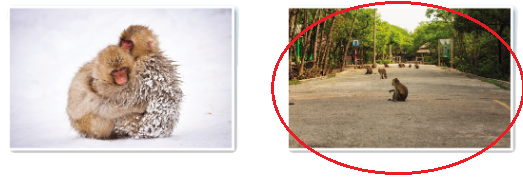 Tiếng Anh lớp 4 Unit 5 lesson 4 trang 83 Explore Our World 0 2