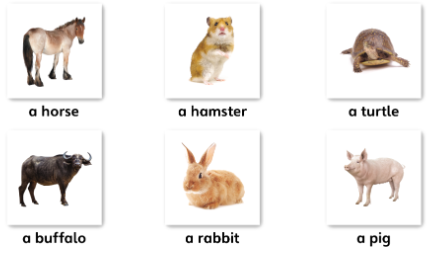 Tiếng Anh lớp 4 Unit 5 lesson 5 trang 84 Explore Our World 0 1