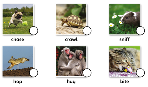 Tiếng Anh lớp 4 Unit 5 lesson 6 trang 86 Explore Our World 1 1