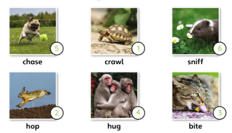 Tiếng Anh lớp 4 Unit 5 lesson 6 trang 86 Explore Our World 2 1