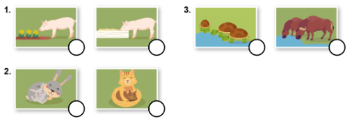 Tiếng Anh lớp 4 Unit 5 lesson 7 trang 86 Explore Our World 1 1