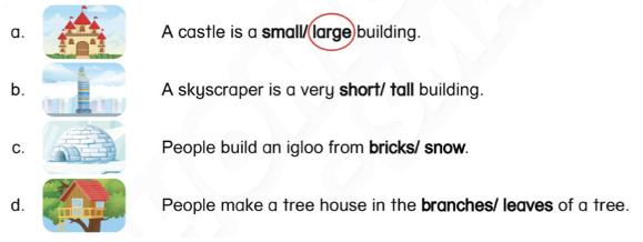 Tiếng Anh lớp 4 Unit 6 Learn more trang 57 Phonics Smart 1 1