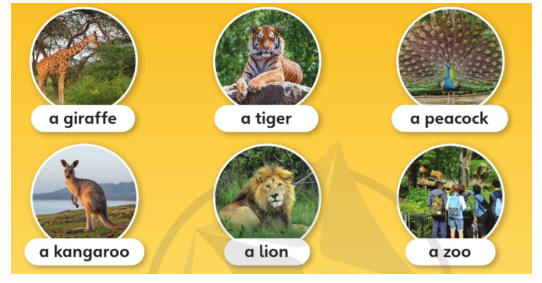 Tiếng Anh lớp 4 Unit 7 lesson 1 trang 112 Explore Our World 0 1