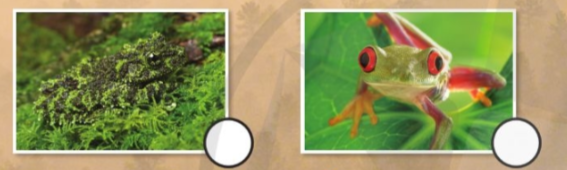 Tiếng Anh lớp 4 Unit 7 lesson 11 trang 122 Explore Our World 1 1