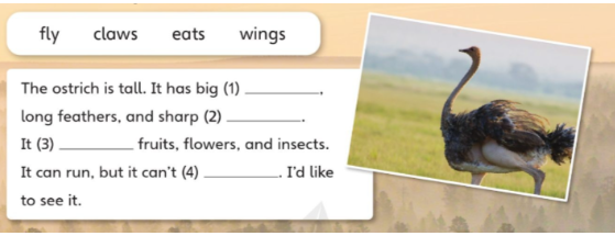 Tiếng Anh lớp 4 Unit 7 lesson 12 trang 123 Explore Our World 0 1