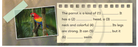 Tiếng Anh lớp 4 Unit 7 lesson 12 trang 123 Explore Our World 1 1