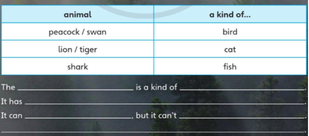 Tiếng Anh lớp 4 Unit 7 lesson 12 trang 123 Explore Our World 2 1