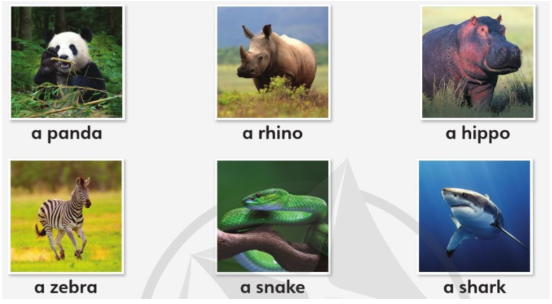 Tiếng Anh lớp 4 Unit 7 lesson 5 trang 116 Explore Our World 1 1