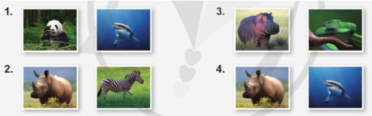 Tiếng Anh lớp 4 Unit 7 lesson 5 trang 116 Explore Our World 2 1