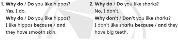 Tiếng Anh lớp 4 Unit 7 lesson 7 trang 118 Explore Our World 1 1