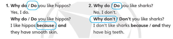 Tiếng Anh lớp 4 Unit 7 lesson 7 trang 118 Explore Our World 1 2