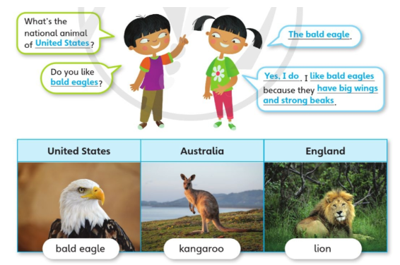 Tiếng Anh lớp 4 Unit 7 lesson 8 trang 119 Explore Our World 2 1
