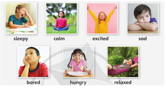 Tiếng Anh lớp 4 Unit 8 lesson 6 trang 131 Explore Our World 1 1