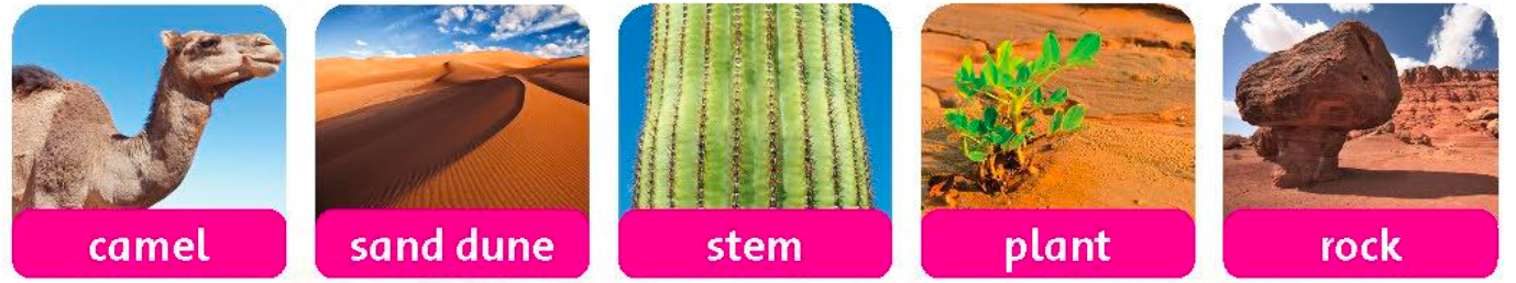 Tiếng anh lớp 5 Fluency Time! 2 lesson Two trang 53 Family and Friends 0 1