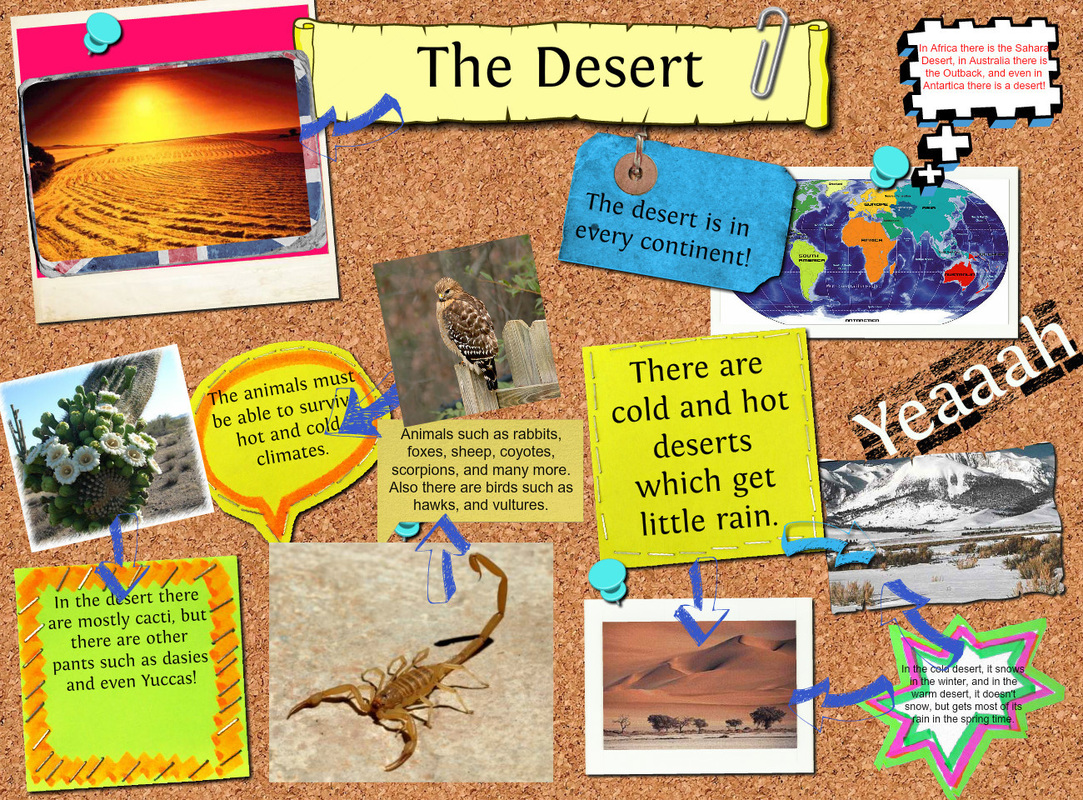 Tiếng anh lớp 5 Fluency Time! 2 lesson Two trang 53 Family and Friends 3 1