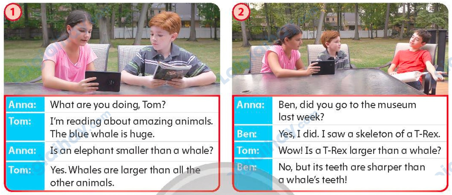 Tiếng anh lớp 5 Fluency Time! 3 lesson One trang 74 Family and Friends 0 1