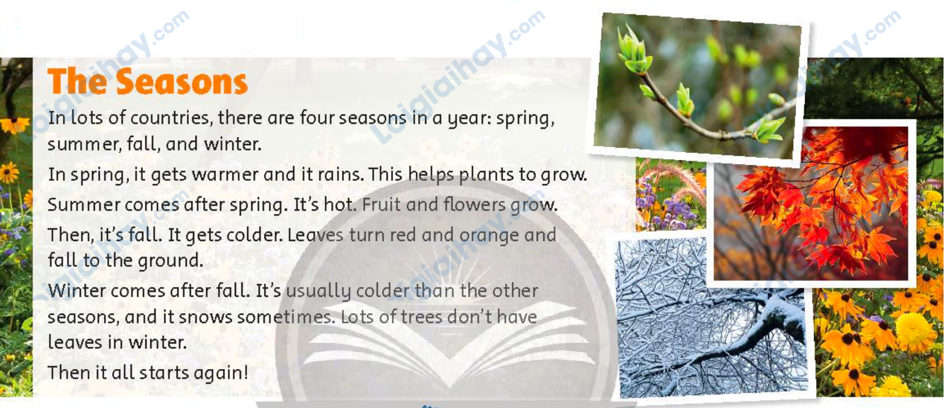 Tiếng anh lớp 5 Fluency Time! 3 lesson Two trang 75 Family and Friends 1 1