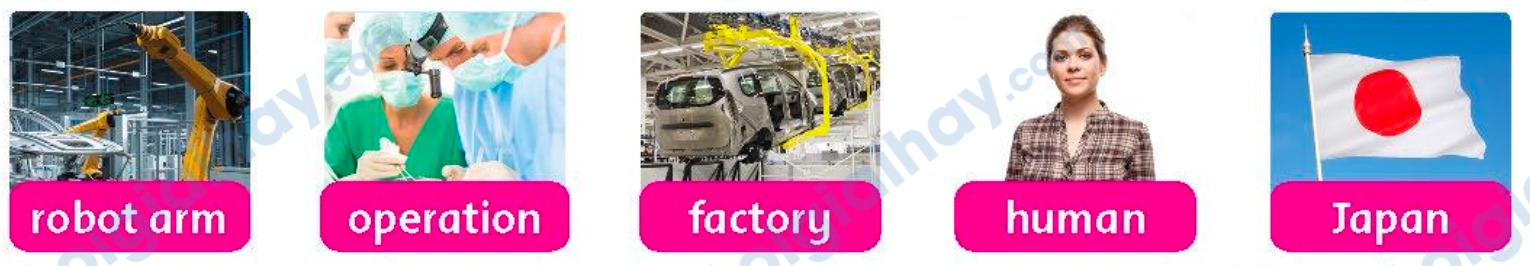 Tiếng anh lớp 5 Fluency Time! 4 lesson Two trang 99 Family and Friends 0 1