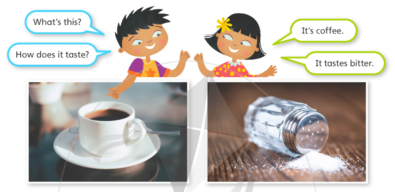 Tiếng anh lớp 5 Project 2 trang 73 Explore Our World 0 1