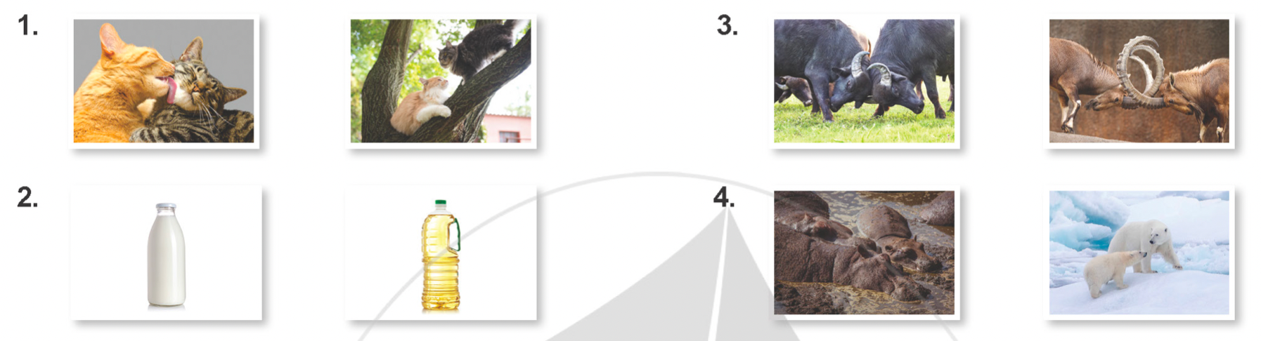 Tiếng anh lớp 5 Stop and Check 1B trang 44 Explore Our World 0 1